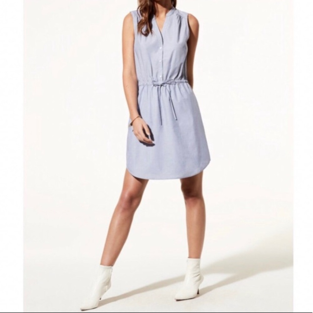 Aritzia Babaton Bennette sleeveless dress
